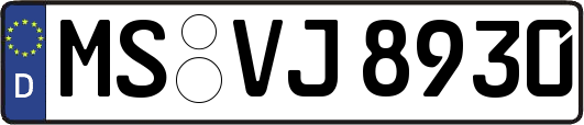 MS-VJ8930