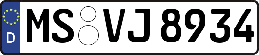 MS-VJ8934