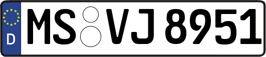 MS-VJ8951
