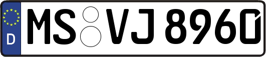 MS-VJ8960
