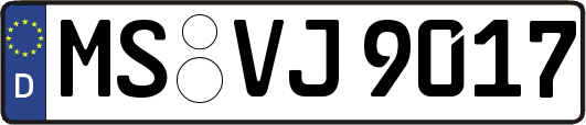 MS-VJ9017