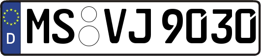 MS-VJ9030