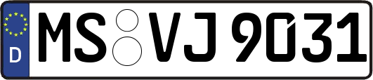 MS-VJ9031