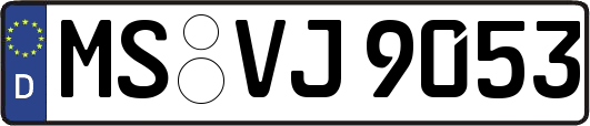 MS-VJ9053
