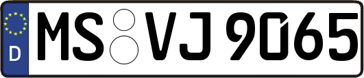MS-VJ9065