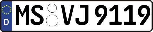 MS-VJ9119