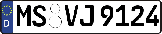 MS-VJ9124