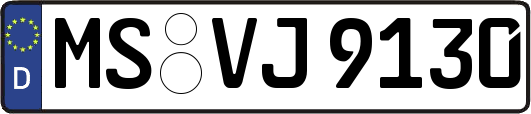 MS-VJ9130