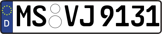 MS-VJ9131
