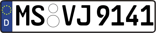 MS-VJ9141