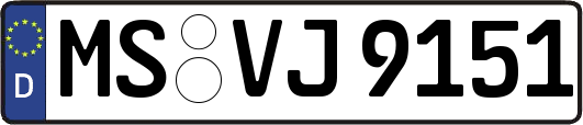 MS-VJ9151