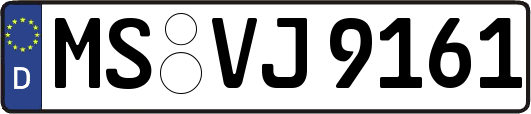 MS-VJ9161