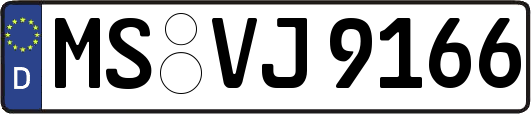 MS-VJ9166