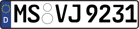 MS-VJ9231