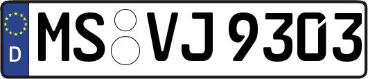 MS-VJ9303