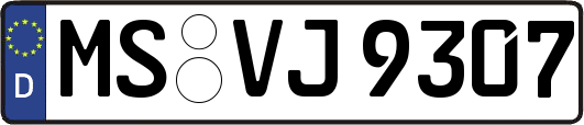 MS-VJ9307