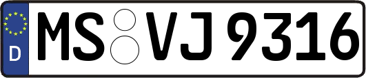 MS-VJ9316