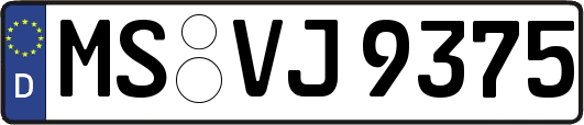 MS-VJ9375