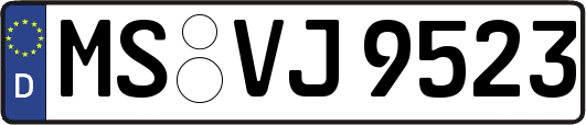 MS-VJ9523