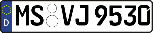 MS-VJ9530