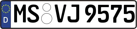 MS-VJ9575