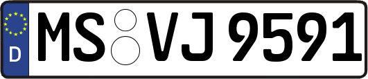 MS-VJ9591