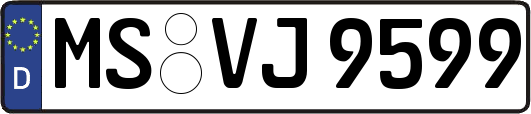 MS-VJ9599