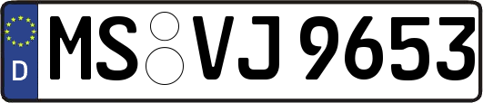 MS-VJ9653