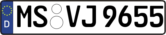MS-VJ9655