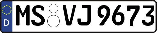 MS-VJ9673