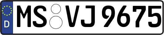 MS-VJ9675