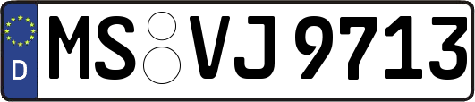 MS-VJ9713