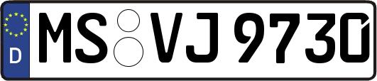 MS-VJ9730