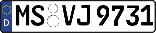 MS-VJ9731