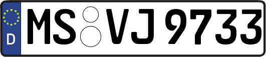 MS-VJ9733