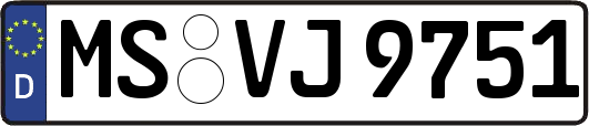 MS-VJ9751