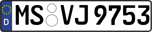 MS-VJ9753