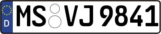 MS-VJ9841