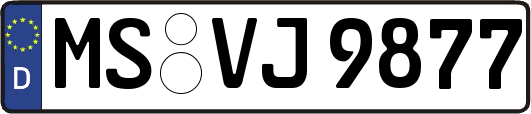 MS-VJ9877