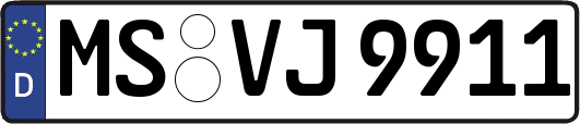 MS-VJ9911