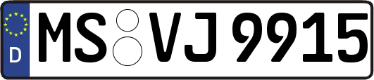 MS-VJ9915