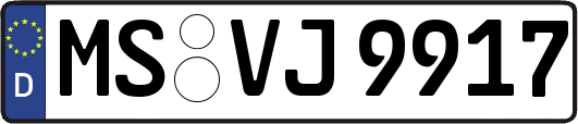 MS-VJ9917