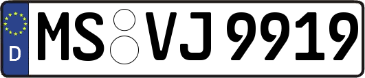 MS-VJ9919