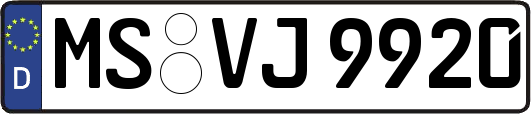 MS-VJ9920
