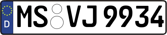 MS-VJ9934