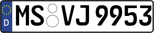 MS-VJ9953