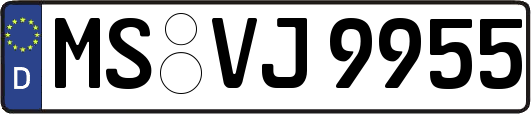 MS-VJ9955