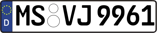 MS-VJ9961
