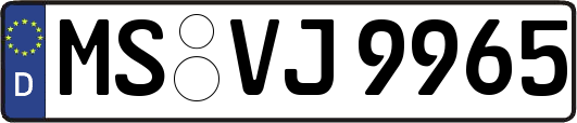 MS-VJ9965