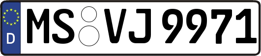 MS-VJ9971
